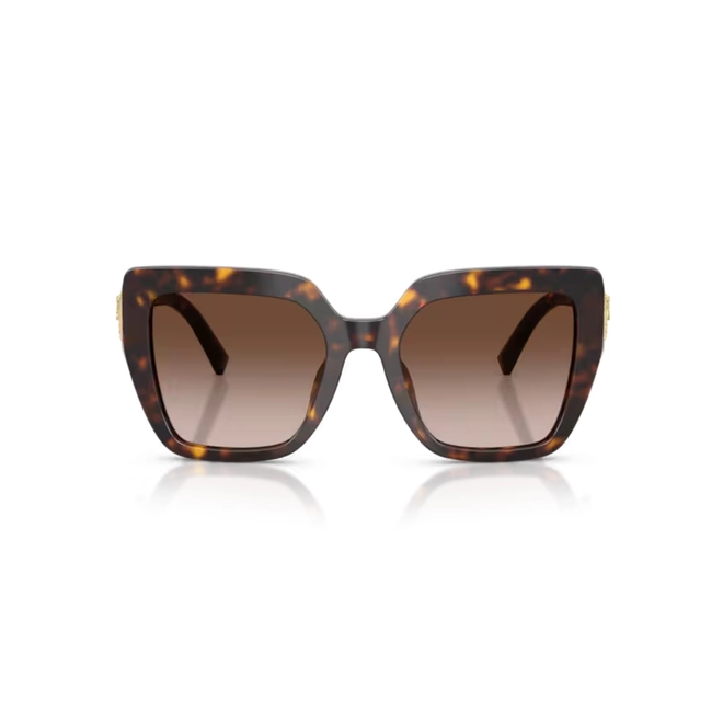 Óculos de Sol Dolce & Gabbana 0DG4538 502/1354 Acetato Marrom Mesclado com lentes na cor Marrom Degradê 2