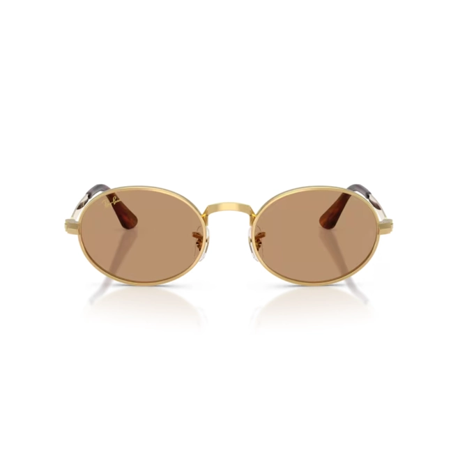 Óculos de Sol Ray-Ban 0RB3931 001/5354 Metal Dourado Polido com lentes na cor Marrom 2
