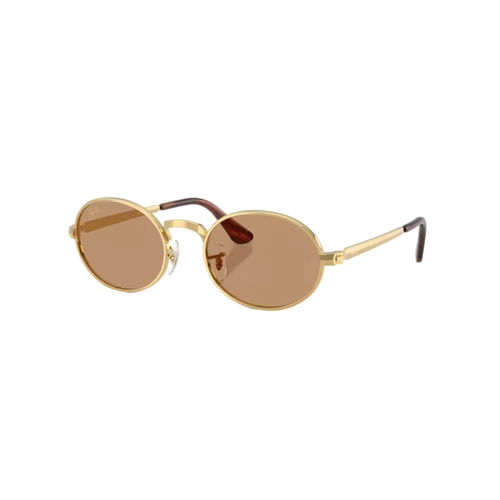 Óculos de Sol Ray-Ban 0RB3931 001/5354 Metal Dourado Polido com lentes na cor Marrom
