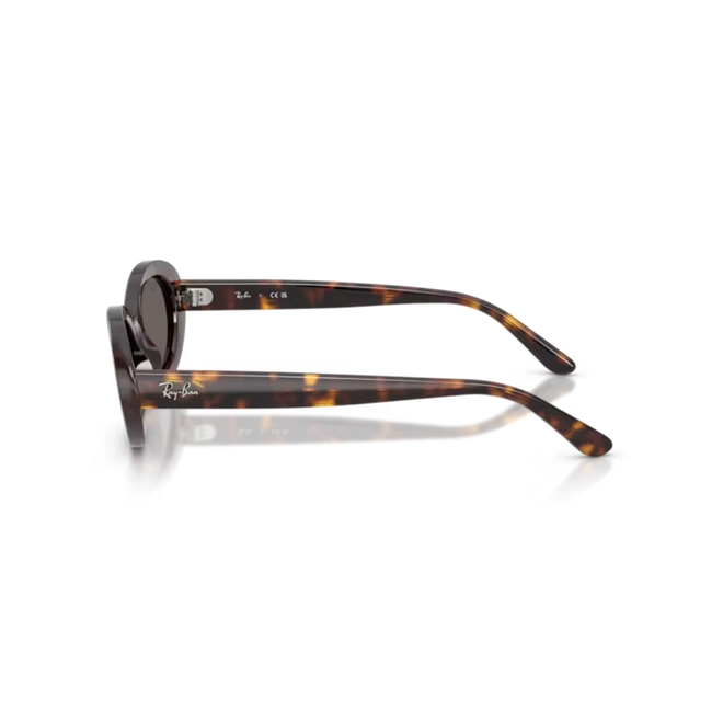 Óculos de Sol Ray-Ban 0RB2223 902/B154 Propionato Marrom Mesclado Polido com lentes na cor Cinza Escuro 4