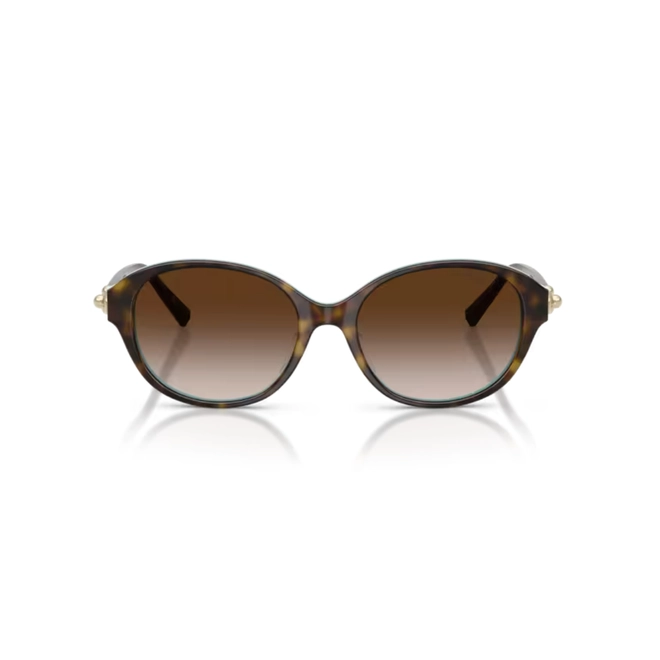 Óculos de Sol Tiffany 0TF4263D 81343B54 Acetato Marrom Mesclado com lentes na cor Marrom Degradê 2