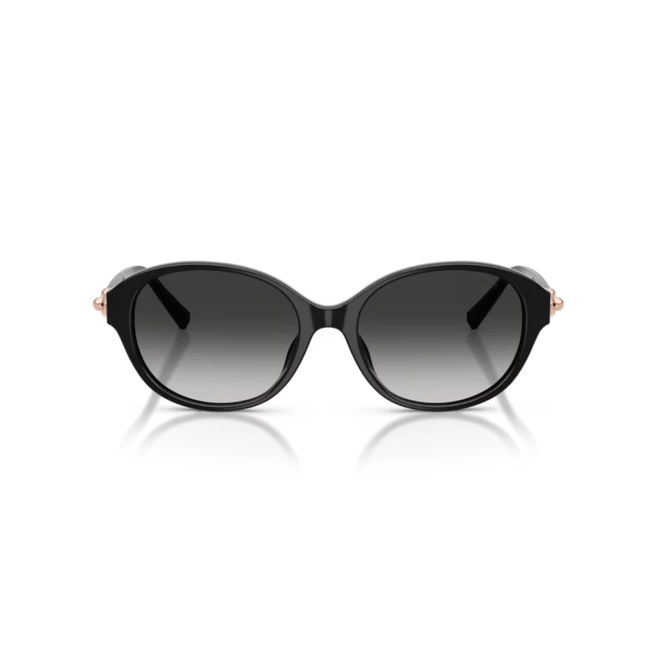 Óculos de Sol Tiffany 0TF4263D 80013C54 Acetato Preto com lentes na cor Cinza Degradê 2