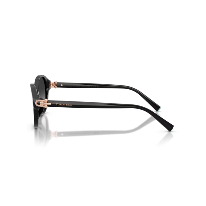 Óculos de Sol Tiffany 0TF4263D 80013C54 Acetato Preto com lentes na cor Cinza Degradê 3