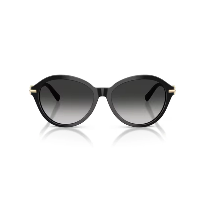 Óculos de Sol Tiffany 0TF4259 80013C56 Acetato Preto com lentes na cor Cinza Degradê 2