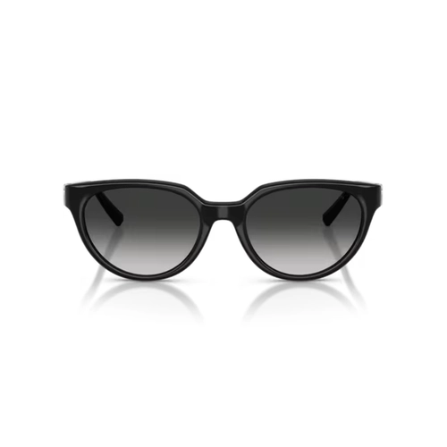 Óculos de Sol Tiffany 0TF4256D 80013C55 Acetato Preto com lentes na cor Cinza Degradê