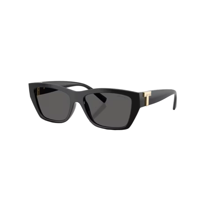 Óculos de Sol Tiffany 0TF4255U 8001S456 Acetato Preto com lentes na cor Cinza 1