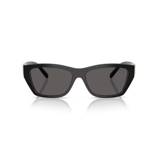 Óculos de Sol Tiffany 0TF4255U 8001S456 Acetato Preto com lentes na cor Cinza 2