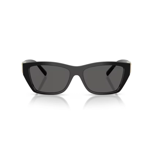 Óculos de Sol Tiffany 0TF4255U 8001S456 Acetato Preto com lentes na cor Cinza