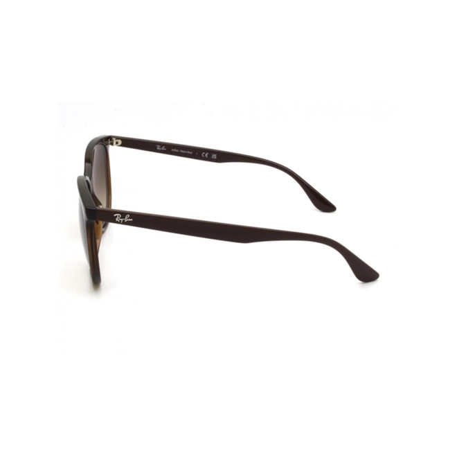 Óculos de Sol Ray-Ban 0RB4378L 66711354 Acetato Marrom Transparente com lentes na cor Marrom Degradê 3