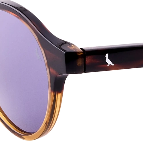 Óculos de Sol Reserva RSV6015S 217 49 Acetato Marrom Mesclado com lentes na cor Azul