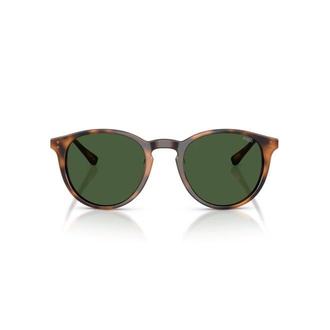 Óculos de Sol Polo Ralph Lauren 0PH4239U 50037150 Acetato Marrom Mesclado Polido com lentes na cor Verde Escuro 2