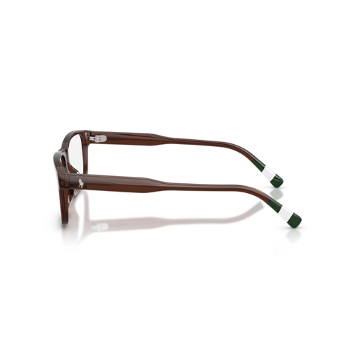 Óculos de Grau Polo Ralph Lauren 0PH2302U 6315 57 Acetato Marrom Transparente