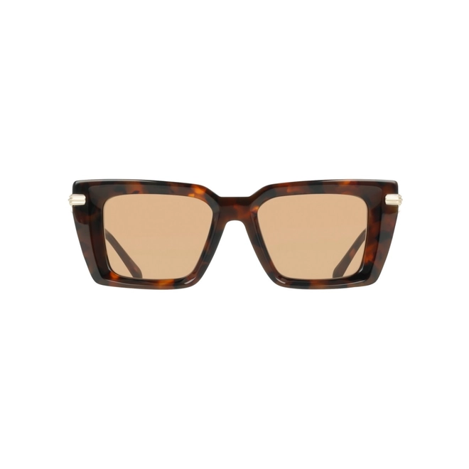 Óculos de Sol Salvatore Ferragamo SF2089S 240 52 Acetato Marrom Mesclado com lentes na cor Marrom 2