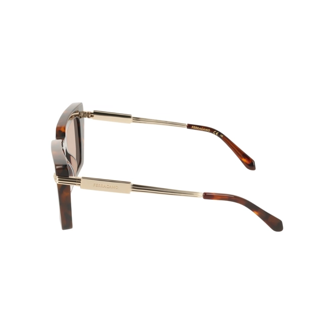 Óculos de Sol Salvatore Ferragamo SF2089S 240 52 Acetato Marrom Mesclado com lentes na cor Marrom 4