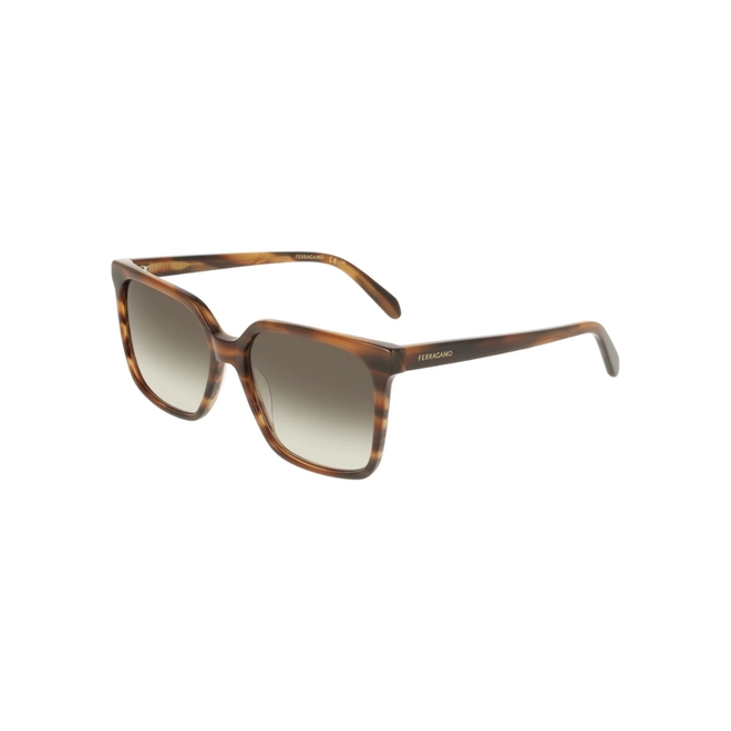 Óculos de Sol Salvatore Ferragamo SF2102S 216 57 Acetato Marrom Mesclado com lentes na cor Marrom 1