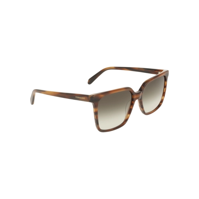 Óculos de Sol Salvatore Ferragamo SF2102S 216 57 Acetato Marrom Mesclado com lentes na cor Marrom 3