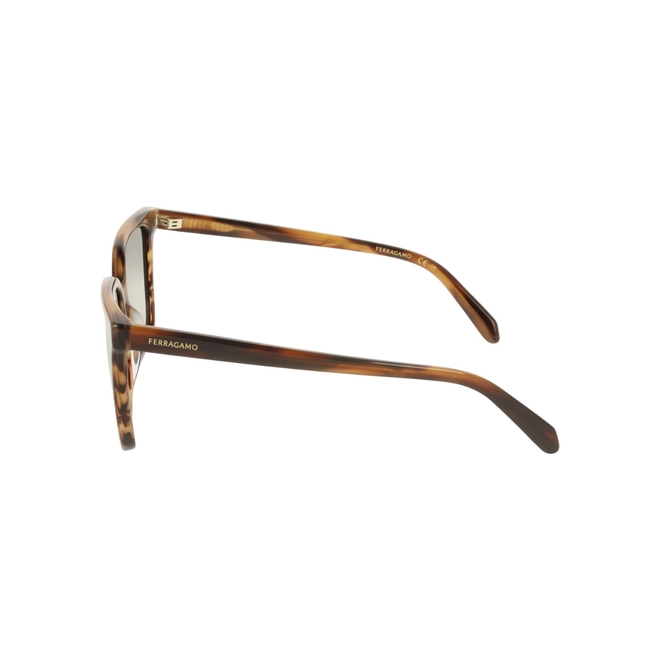 Óculos de Sol Salvatore Ferragamo SF2102S 216 57 Acetato Marrom Mesclado com lentes na cor Marrom 4