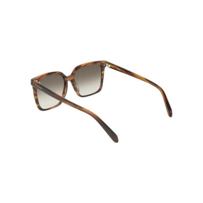 Óculos de Sol Salvatore Ferragamo SF2102S 216 57 Acetato Marrom Mesclado com lentes na cor Marrom 5