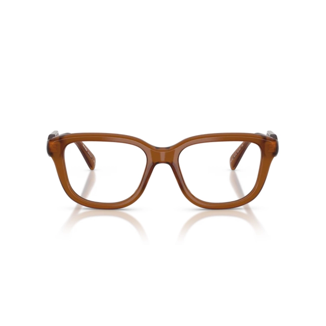 Óculos de Grau Miu Miu 0MU 02ZV 22I1O153 Acetato Marrom Transparente Polido 2