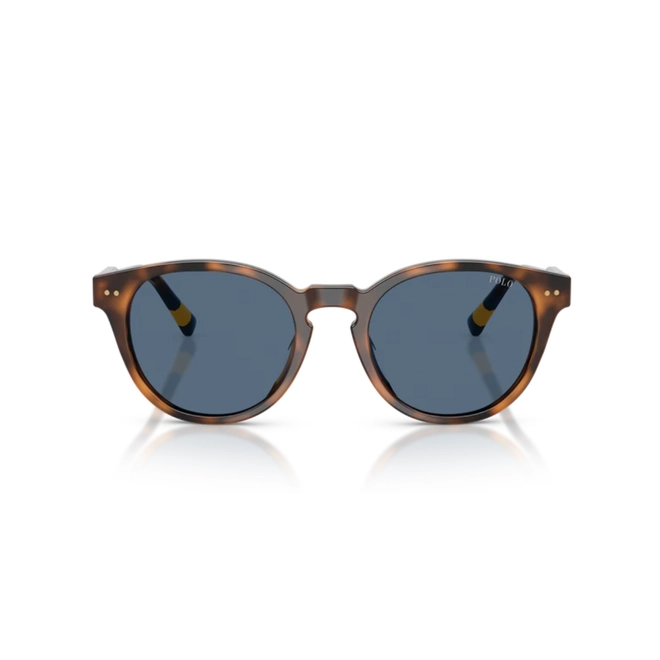 Óculos de Sol Polo Ralph Lauren 0PH4241U 60898052 Acetato Marrom Mesclado Polido com lentes na cor Azul 2