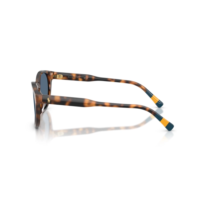 Óculos de Sol Polo Ralph Lauren 0PH4241U 60898052 Acetato Marrom Mesclado Polido com lentes na cor Azul 3