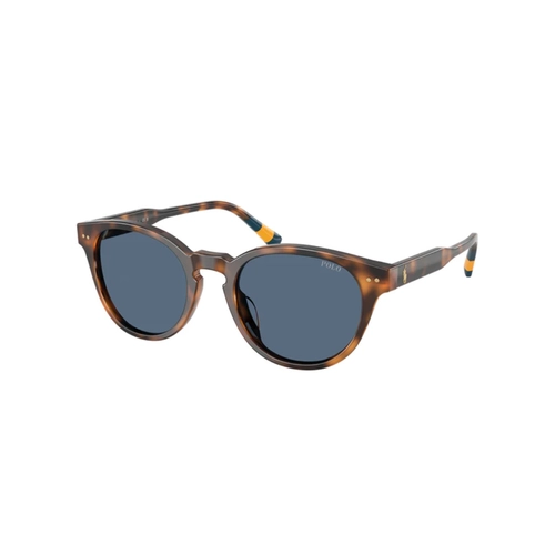 Óculos de Sol Polo Ralph Lauren 0PH4241U 60898052 Acetato Marrom Mesclado Polido com lentes na cor Azul