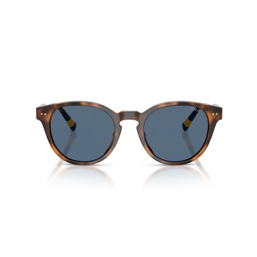Óculos de Sol Polo Ralph Lauren 0PH4241U 60898052 Acetato Marrom Mesclado Polido com lentes na cor Azul
