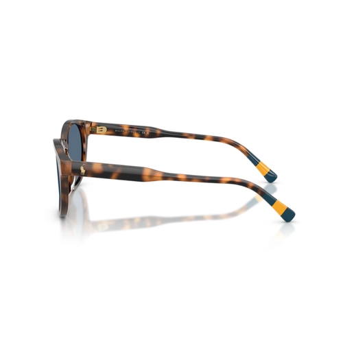 Óculos de Sol Polo Ralph Lauren 0PH4241U 60898052 Acetato Marrom Mesclado Polido com lentes na cor Azul