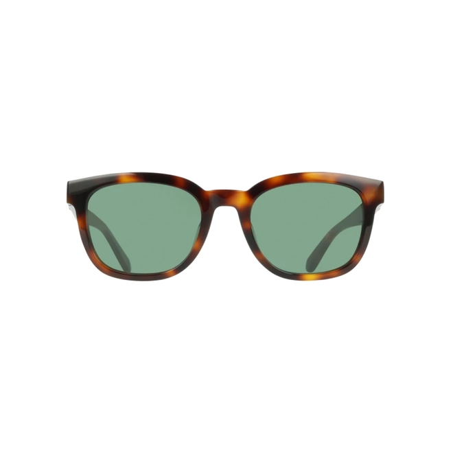 Óculos de Sol Salvatore Ferragamo SF2107S 240 54 Acetato Marrom Mesclado com lentes na cor Verde 2