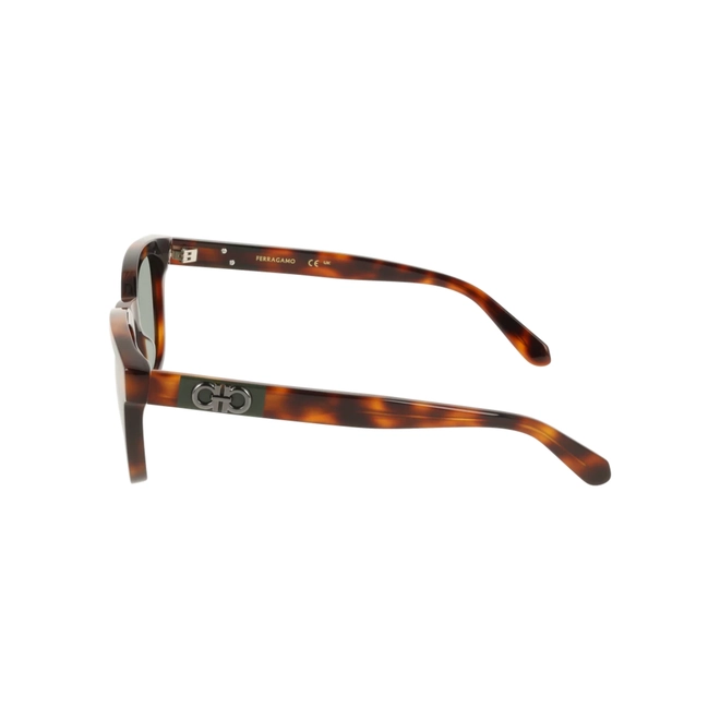 Óculos de Sol Salvatore Ferragamo SF2107S 240 54 Acetato Marrom Mesclado com lentes na cor Verde 4