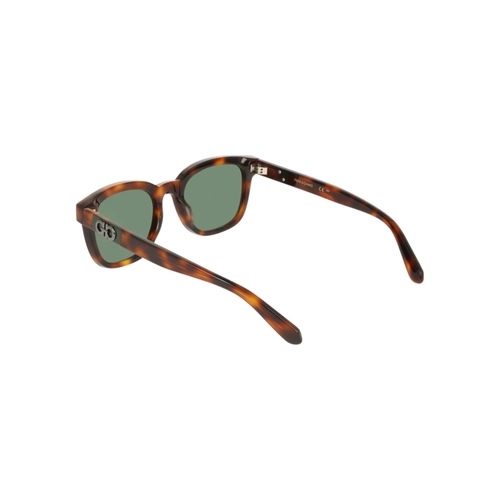 Óculos de Sol Salvatore Ferragamo SF2107S 240 54 Acetato Marrom Mesclado com lentes na cor Verde
