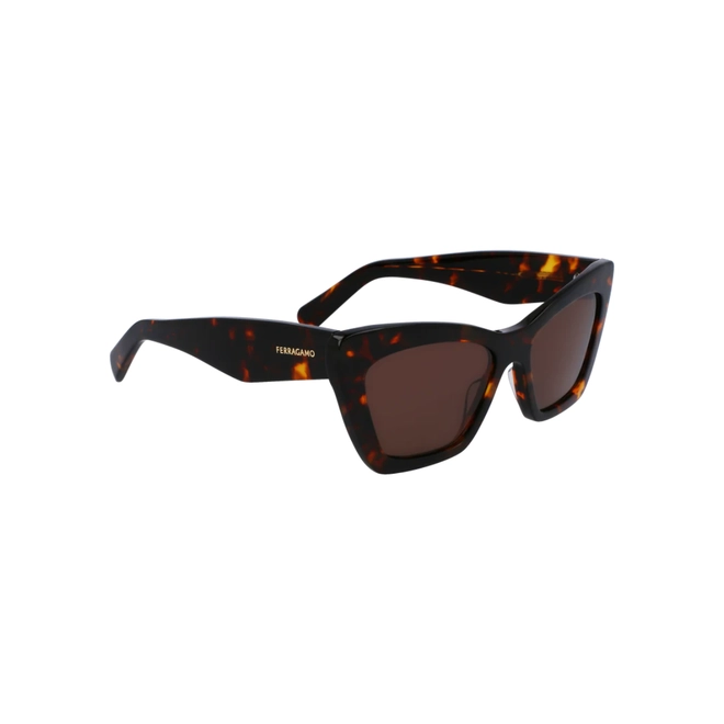 Óculos de Sol Salvatore Ferragamo SF929SN 242 55 Acetato Marrom Mesclado com lentes na cor Marrom 3