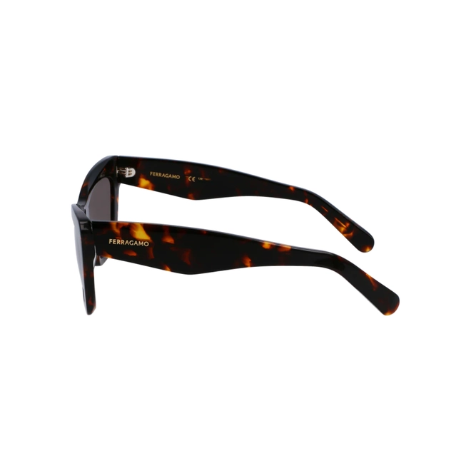 Óculos de Sol Salvatore Ferragamo SF929SN 242 55 Acetato Marrom Mesclado com lentes na cor Marrom 4
