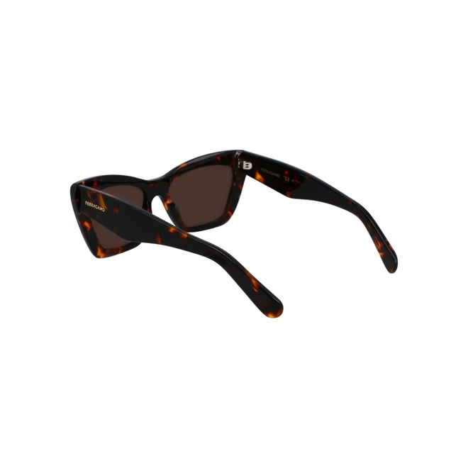 Óculos de Sol Salvatore Ferragamo SF929SN 242 55 Acetato Marrom Mesclado com lentes na cor Marrom 5