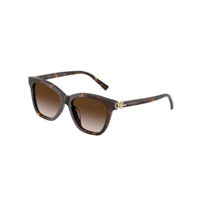 Óculos de Sol Tiffany 0TF4241D 80153B54 Acetato Marrom Mesclado com lentes na cor Marrom Degradê 1