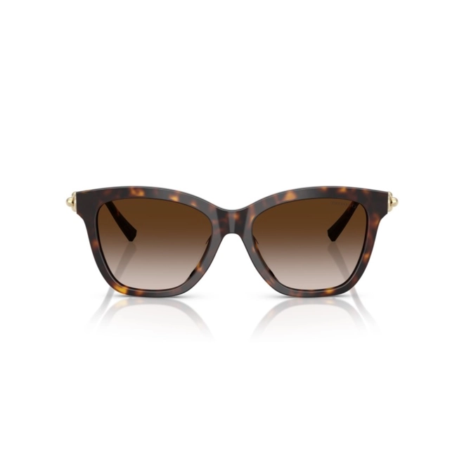 Óculos de Sol Tiffany 0TF4241D 80153B54 Acetato Marrom Mesclado com lentes na cor Marrom Degradê 2