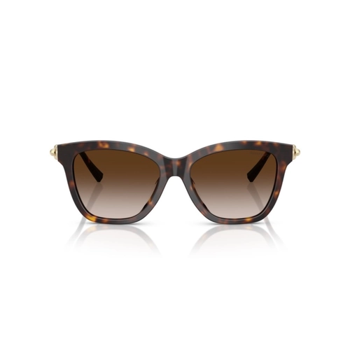 Óculos de Sol Tiffany 0TF4241D 80153B54 Acetato Marrom Mesclado com lentes na cor Marrom Degradê