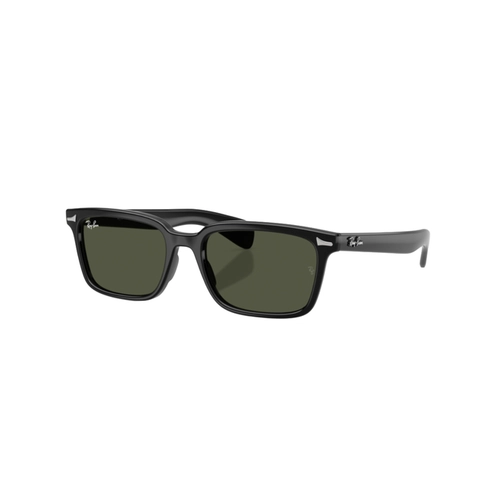 Óculos de Sol Ray-Ban Brunel 0RB2234 901/3156 Propionato Preto com lentes na cor Verde