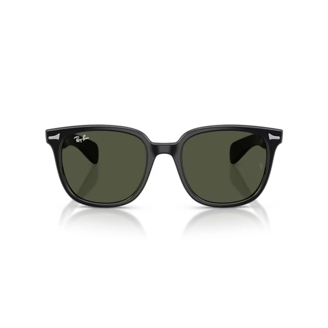 Óculos de Sol Ray-Ban Brunel II 0RB2235 901/3153 Propionato Preto com lentes na cor Verde 2
