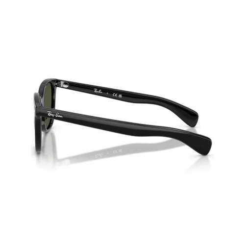 Óculos de Sol Ray-Ban Brunel II 0RB2235 901/3153 Propionato Preto com lentes na cor Verde