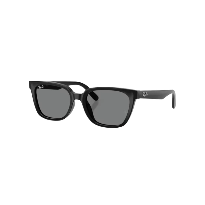Óculos de Sol Ray-Ban 0RB2243D 901/8755 Acetato Preto com lentes na cor Cinza Escuro 1