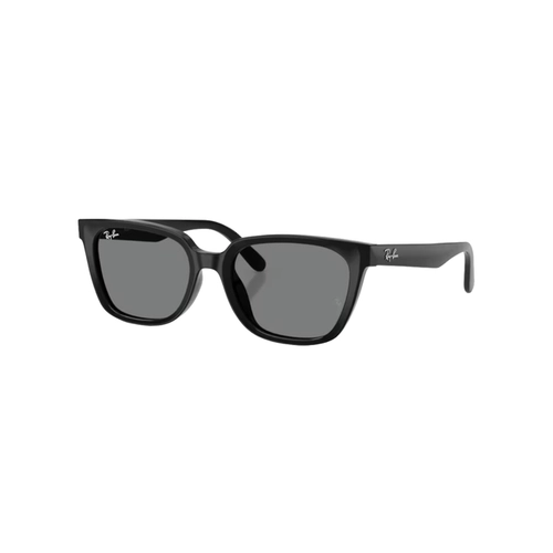 Óculos de Sol Ray-Ban 0RB2243D 901/8755 Acetato Preto com lentes na cor Cinza Escuro