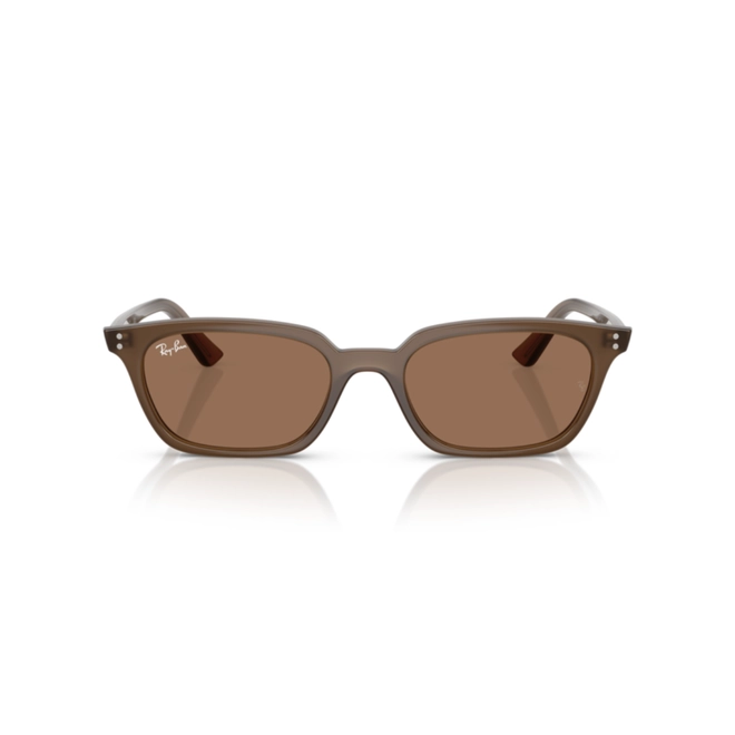 Óculos de Sol Ray-Ban Zaya 0RB4456 67797353 Acetato Marrom Transparente com lentes na cor Marrom Escuro 2