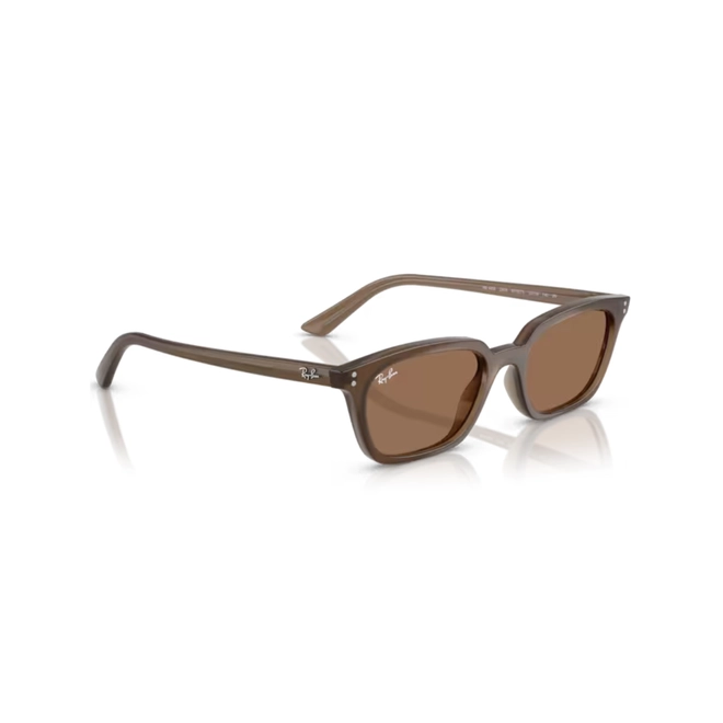Óculos de Sol Ray-Ban Zaya 0RB4456 67797353 Acetato Marrom Transparente com lentes na cor Marrom Escuro 3