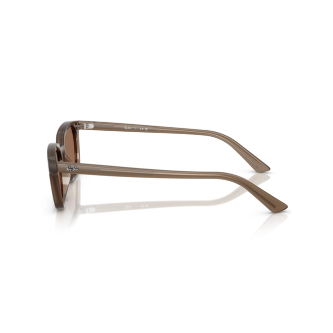 Óculos de Sol Ray-Ban Zaya 0RB4456 67797353 Acetato Marrom Transparente com lentes na cor Marrom Escuro 4