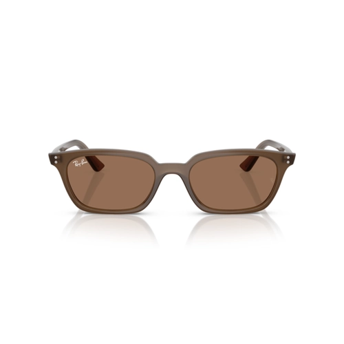 Óculos de Sol Ray-Ban Zaya 0RB4456 67797353 Acetato Marrom Transparente com lentes na cor Marrom Escuro