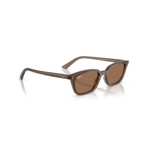 Óculos de Sol Ray-Ban Zaya 0RB4456 67797353 Acetato Marrom Transparente com lentes na cor Marrom Escuro