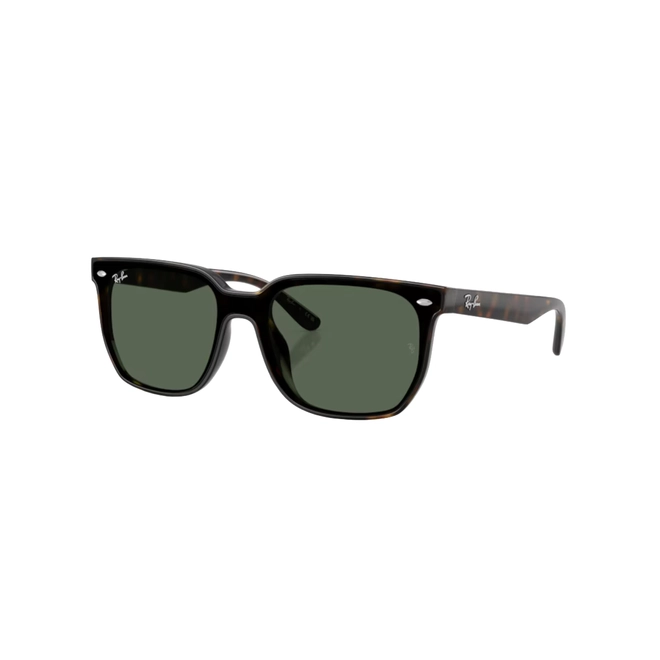 Óculos de Sol Ray-Ban 0RB4466D 710/7147 Nylon Marrom Mesclado com lentes na cor Verde Escuro 1