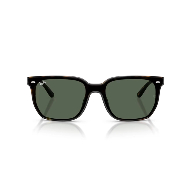 Óculos de Sol Ray-Ban 0RB4466D 710/7147 Nylon Marrom Mesclado com lentes na cor Verde Escuro 2