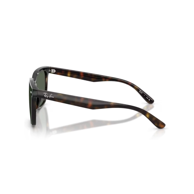 Óculos de Sol Ray-Ban 0RB4466D 710/7147 Nylon Marrom Mesclado com lentes na cor Verde Escuro 4